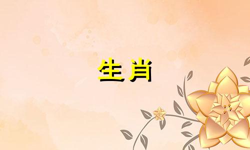 属鸡的男人喜欢独处,反应更活泼