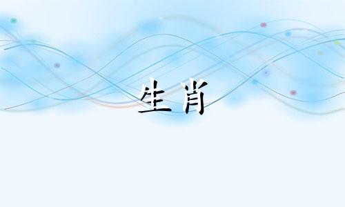 1995年的猪能嫁给1995年的猪吗?
