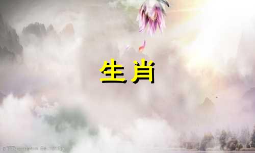 你说房间里有一条四条腿的蛇是什么意思?