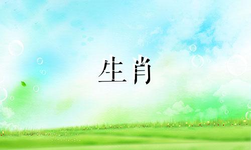 公马雌鸡适合公马雌鸡结婚