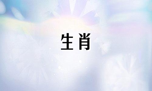 88年属龙命几次婚姻一生只一次