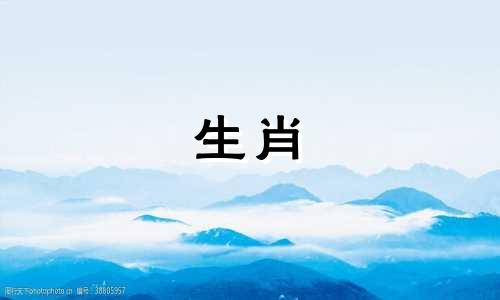 狗和马兼容吗?那么狗和马的婚姻呢?