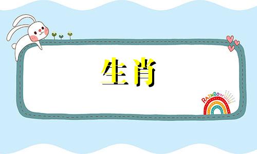 meat字符代表什么?十二生肖代表海狮猪