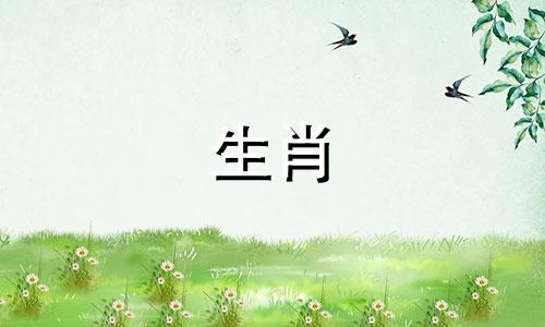 把属龙和兔子搭配起来怎么样?