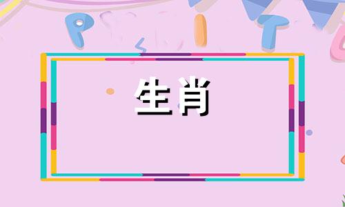 1999一只兔子的一生总是有一个高尚的人来帮助