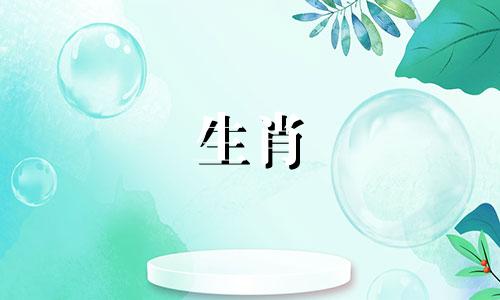 猪喜欢什么样的女孩喜欢温柔的女人