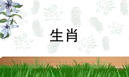 什么动物最适合兔羊狗猪