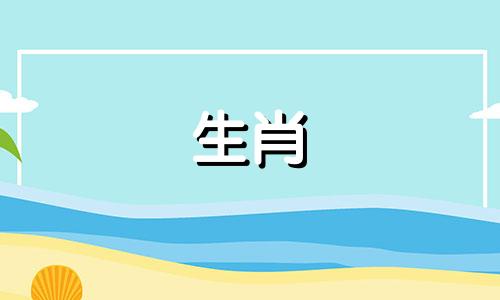 95猪和什么生肖最适合羊兔虎