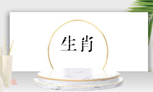 属鸡的男人和属马的女人是好夫妻吗?你们的运气如何?