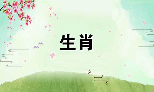 母兔公兔交配交配中等交配