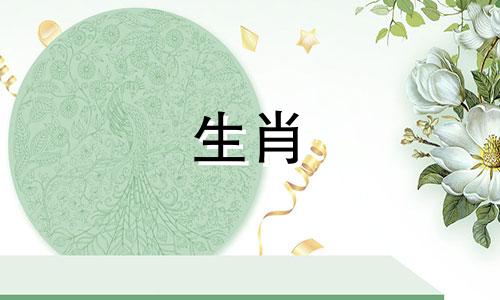 一匹马的财富是多少?时运顺