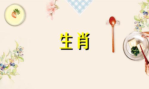 一匹公马和一只母猴之间有匹配吗?