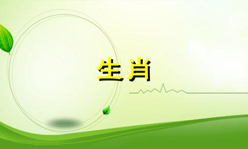 78年是马40岁后,十年运,财运,财运