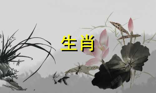 73年那头牛的寿命是多少?水牛的生活