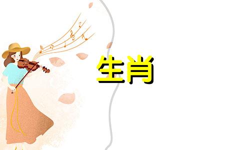 属猴狗配婚姻女人属猴男人狗婚姻好吗