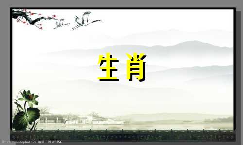 生肖羊和什么生肖与猪马兔