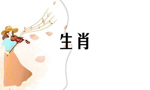 96年的属鼠能比得上94年的狗吗?94年的狗能比得上96年的雄鼠吗?