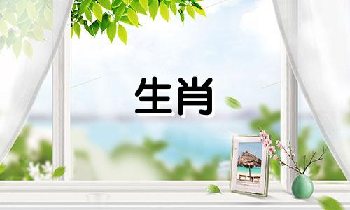 雄虎不应该与什么是雄虎和什么是最不相容的属相匹配