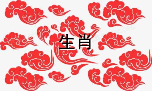 公马与什么物种同行虎羊狗