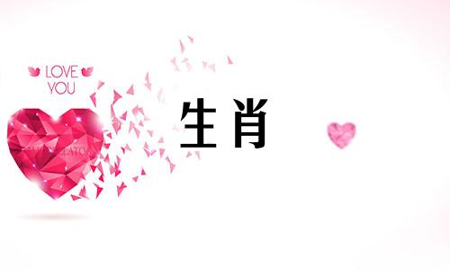 如果狗和鸡不相容，它们必须互相容忍