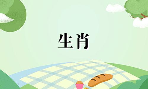 羊和属龙在一起吗?你的运气怎么样?