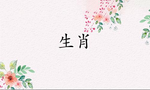 蛇和猪会发生冲突吗?如何解析