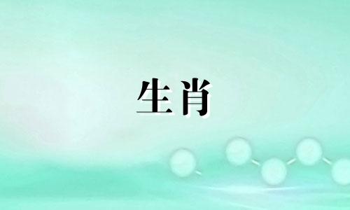 在蛇猪年你的运气如何?你的运气很正常