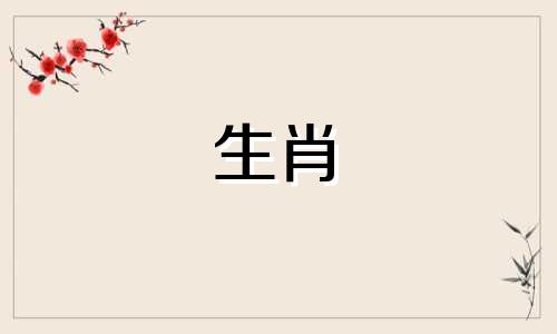 公猴母猪的婚姻是否匹配,谁是猴公谁是猪母