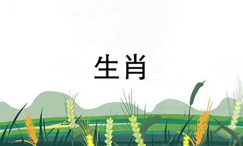 什么动物的属鼠是由于失去大小