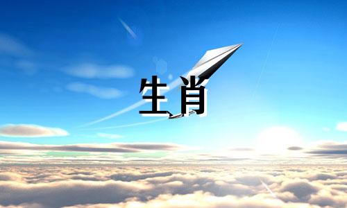 属虎,最穷的人,但36岁?1986虎2022