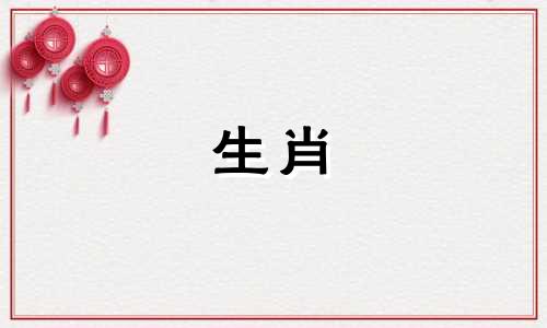 什么适合82岁的狗?什么适合结婚?