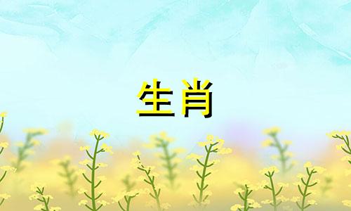 你的四月星座运势如何?