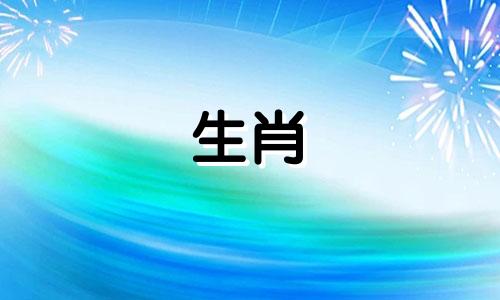 猪男喜欢的女孩长得像九个头的女人