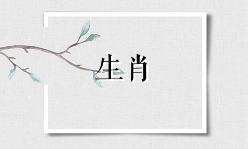 2000年属龙的命运是什么?