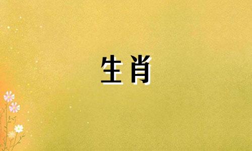 1988属龙的幸运号码1988属龙的永久幸运号码