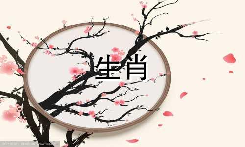 1982年出生的狗36岁以后的运势是什么