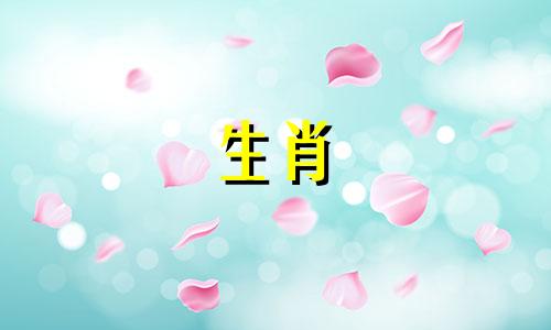 属鼠男孩和属牛是相容的吗?你运气怎么样?