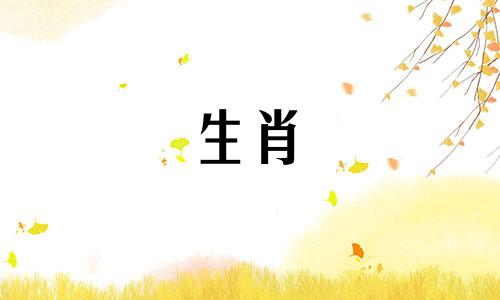 1986属虎如何解决属虎问题