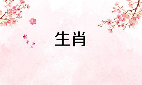 马和兔子结婚合适吗?一对需要努力的夫妇