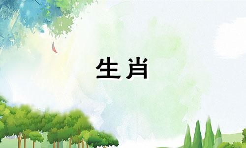 87兔子的幸运号码1987兔子的幸运号码