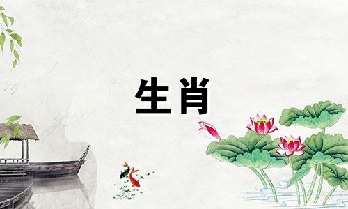 狗和属猴的婚姻有多好