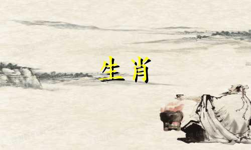 公猴和母猴需要互相容忍吗?