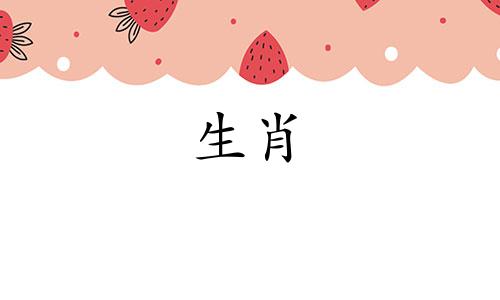 一分钱还一分钱，一磅还一磅，动物就是动物属鼠