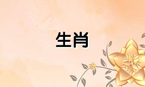 公牛母兔婚姻如何好对