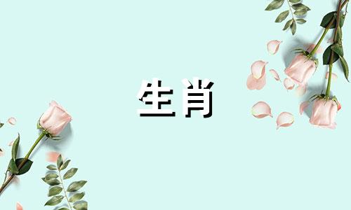 属猪的父母和哪个属猪的孩子最般配