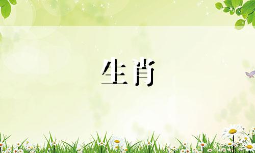 2022年猪的吉利颜色和快乐数字