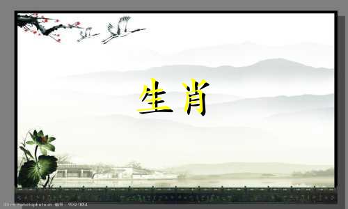 狗妈妈反对什么样的孩子?