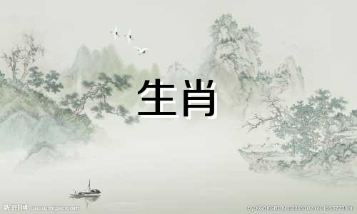 2022年打破猪的年龄意味着什么?