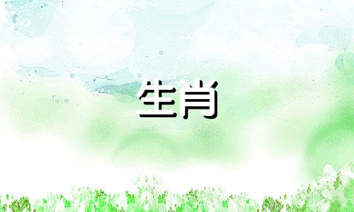 宋绍光分析2022年生肖猪生涯