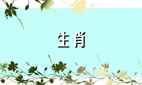 猪爸爸和什么属相的孩子是三位一体，猪跟兔子、羊是三位一体